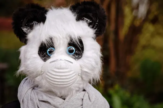 БигАзарт Казино Поддръжка